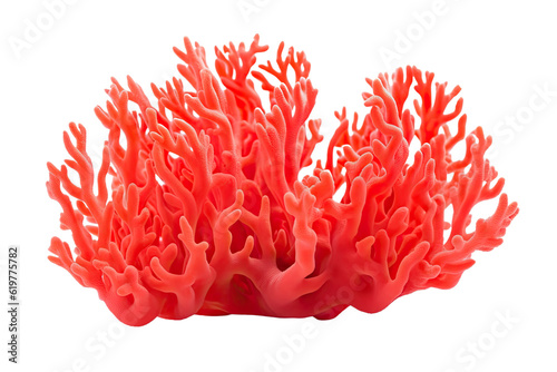 Fire coral on transparent background (PNG)., generative artificial intelligence 
