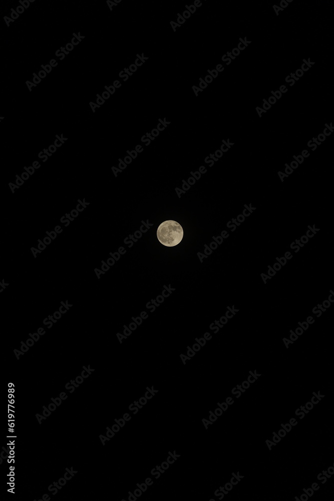 moon in the night moon in the night