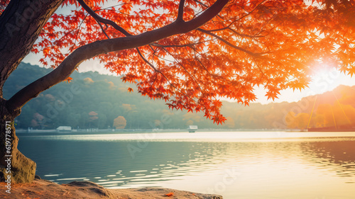 lake and tree in autumn. beautiful landscape with copyspace photo