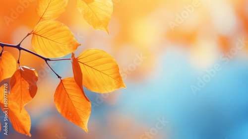 closeup of autumn leaves on tree