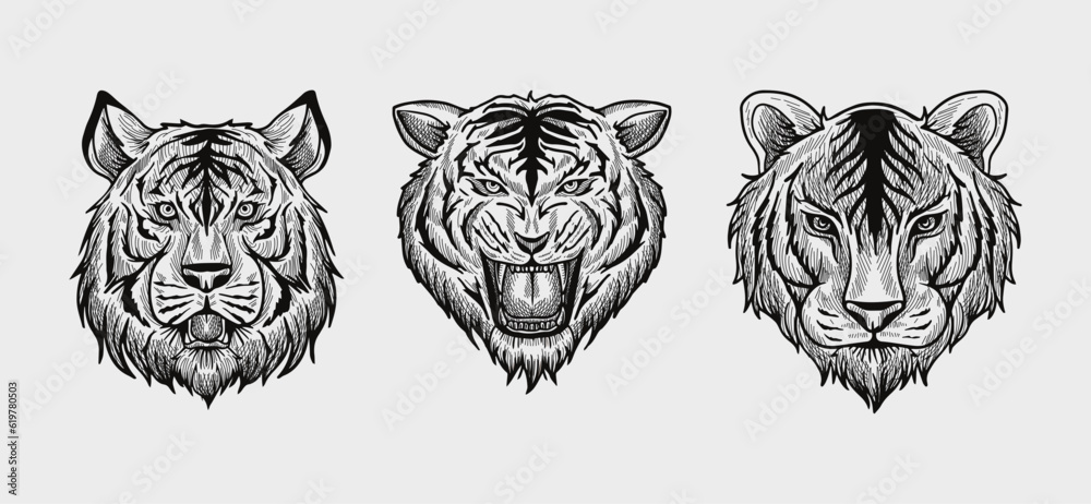 Fototapeta premium black and white tiger head vector illustration consisting of three images