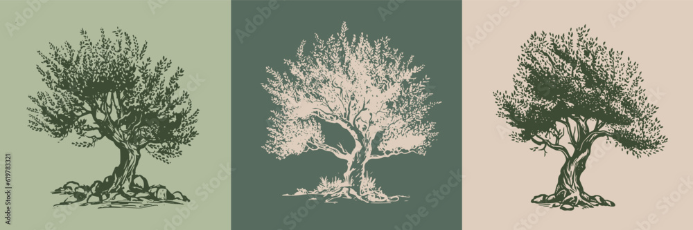 Olive tree hand drawn illustrations, sketch. Vector.	
