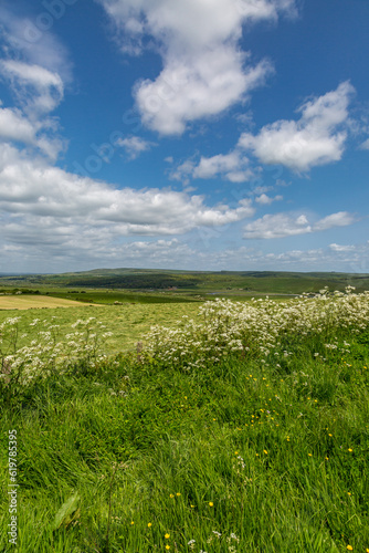 Fields in the South Downs in Sussex on a sunny May day