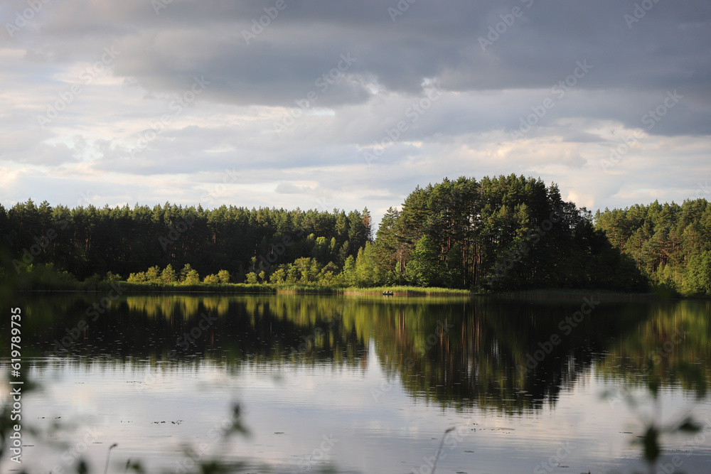 Obraz premium reflection of trees in lake