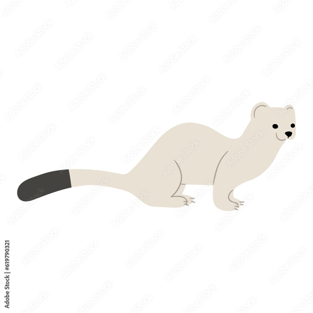 Stoats,Ermine Single 16 on a white background, vector illustration. 