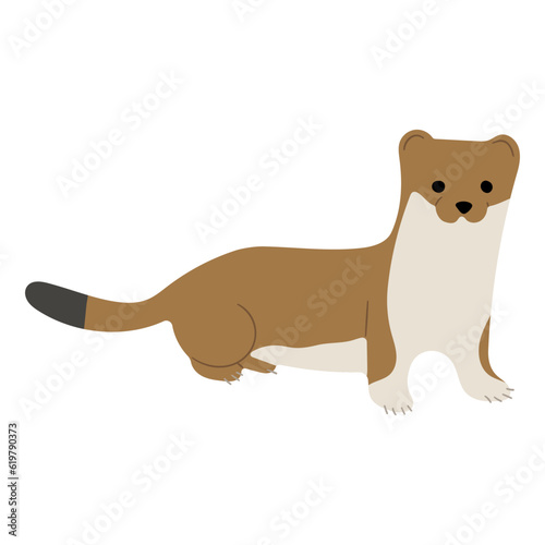 Stoats Ermine Single 31 on a white background  vector illustration. 