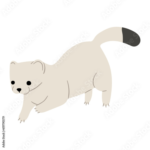 Stoats,Ermine Single 35 on a white background, vector illustration. 