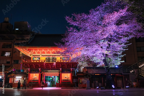 東京都千代田区 神田明神、春の夜桜ライトアップ