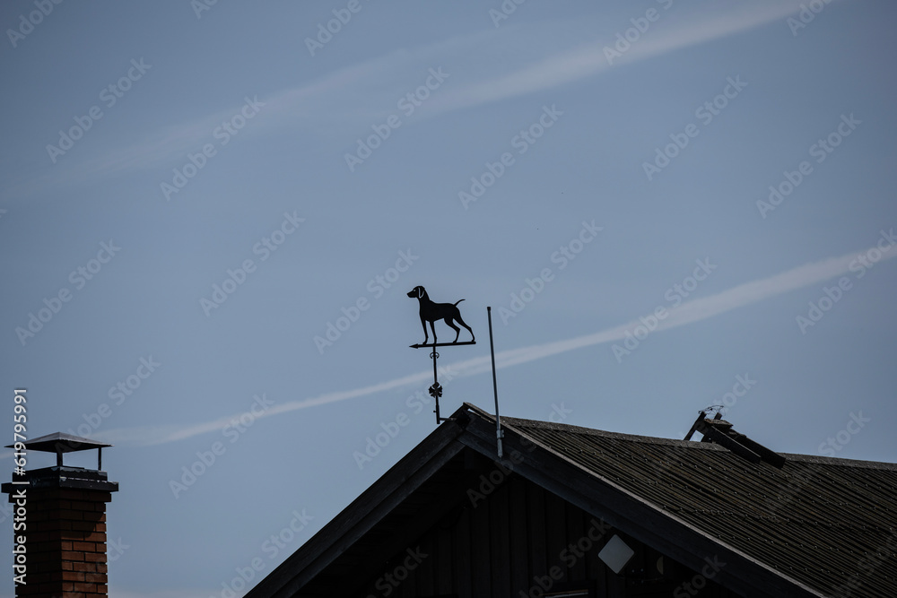 black outbuilding in the form of a dog on the roof of the house against the sky