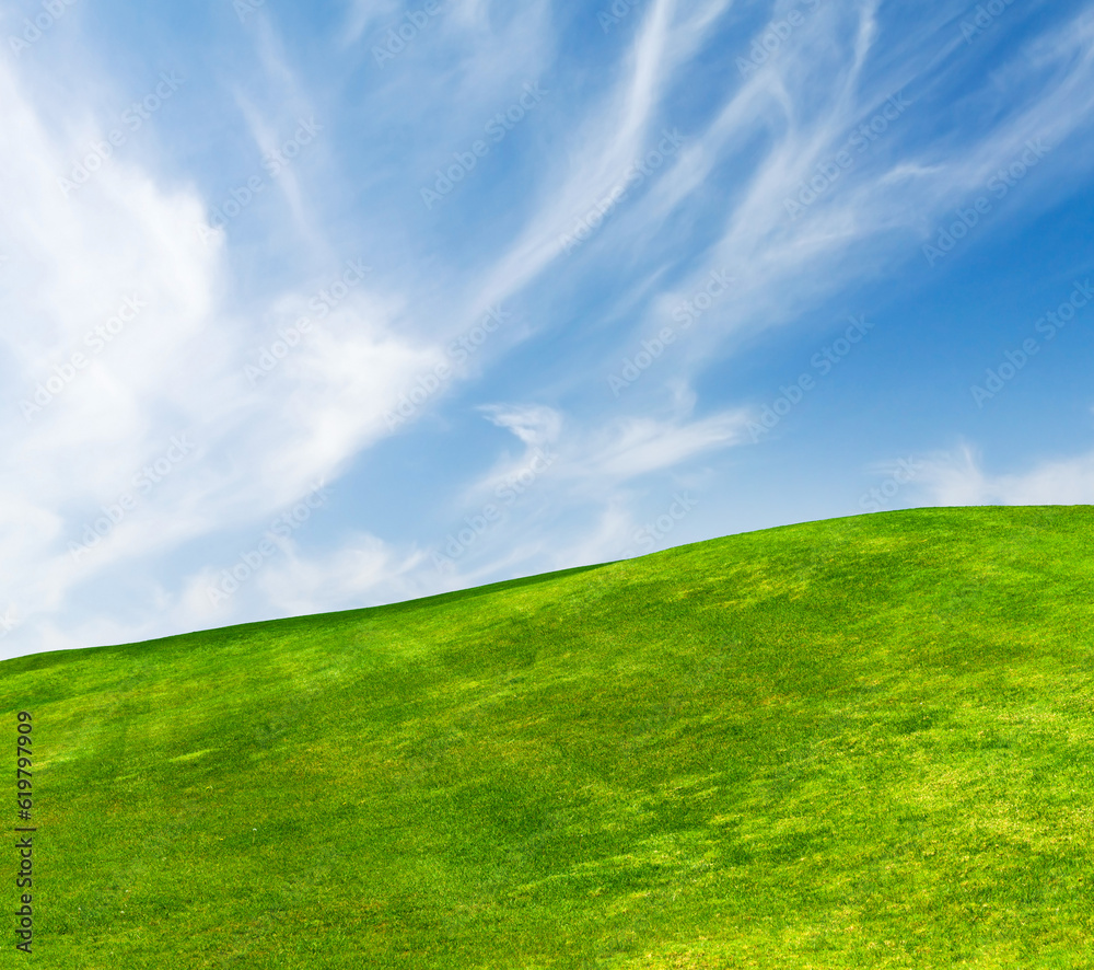 Landscape with green grass field under a blue sky Landscape with green grass field under a blue sky