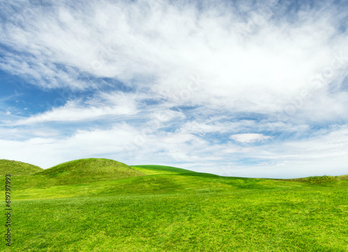 Landscape with green grass field under a blue sky