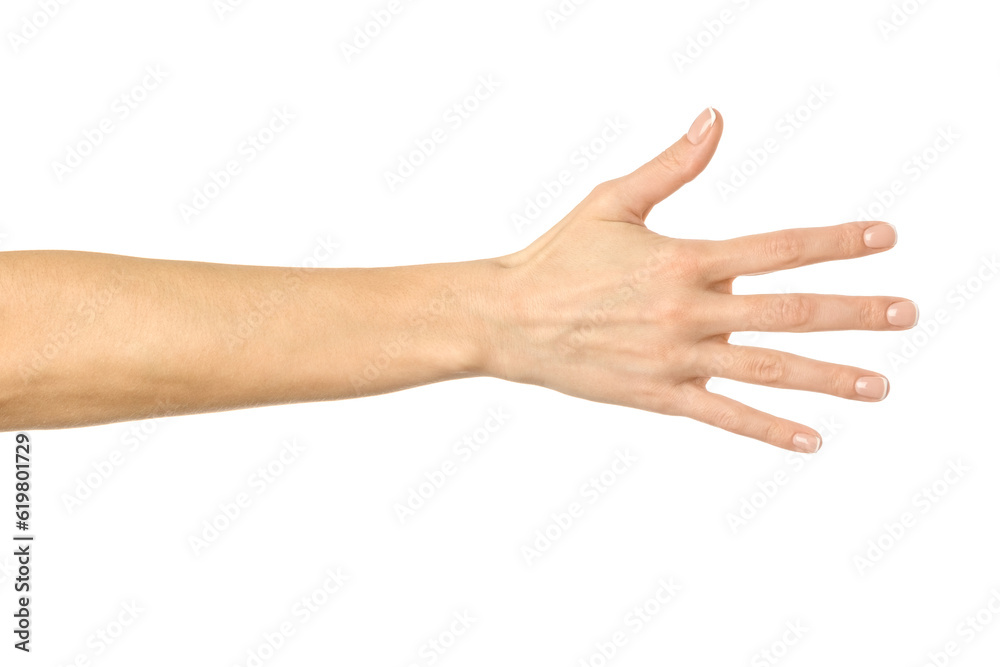 Reaching hand. Woman hand gesturing isolated on white Reaching hand. Woman hand gesturing isolated on white