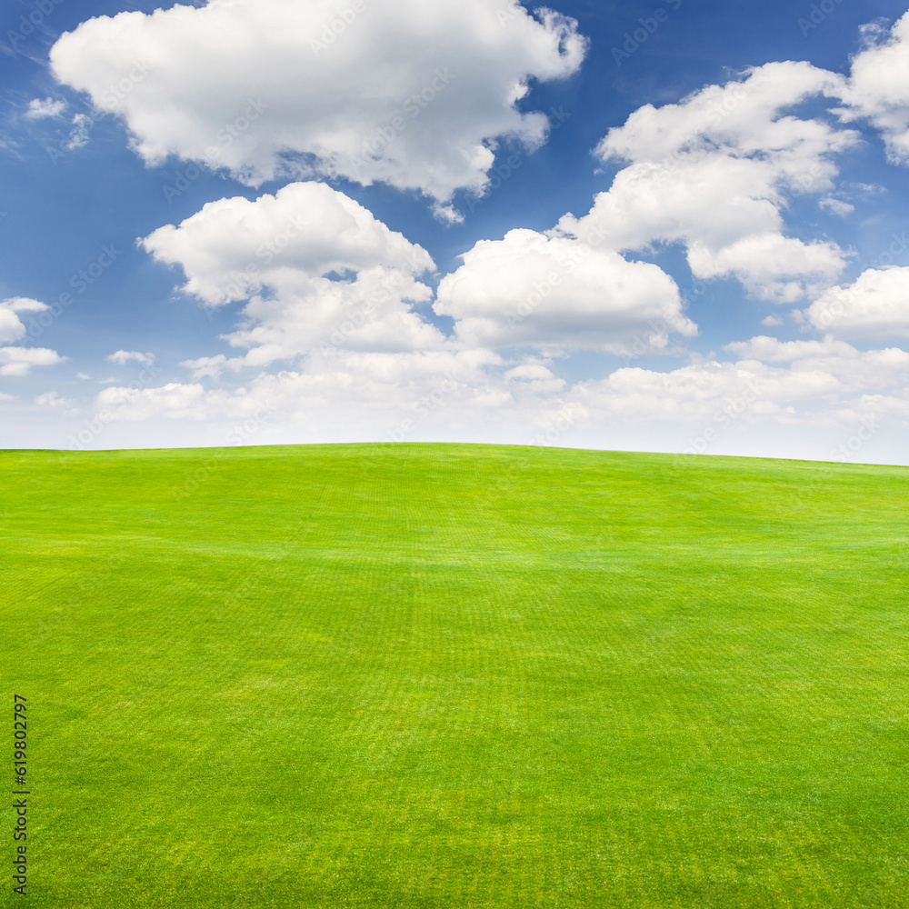 Landscape with green grass field under a blue sky Landscape with green grass field under a blue sky