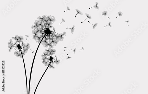 Fototapeta Naklejka Na Ścianę i Meble -  Wildflower dandelion in a vector style isolated. Vector flower for background, texture, wrapper pattern, frame or border.
