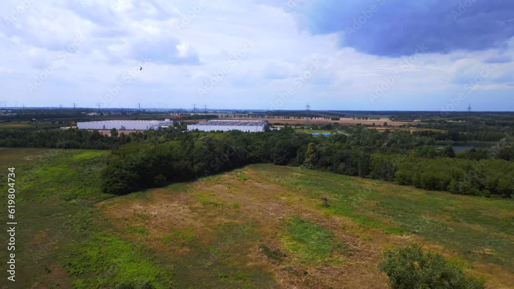 Big birds Storks fly over meadows summer field. Best aerial top view flightdrone Big birds Storks fly over meadows summer field. Best aerial top view flightdrone