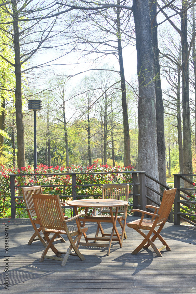 Obraz premium 森の中の休憩所