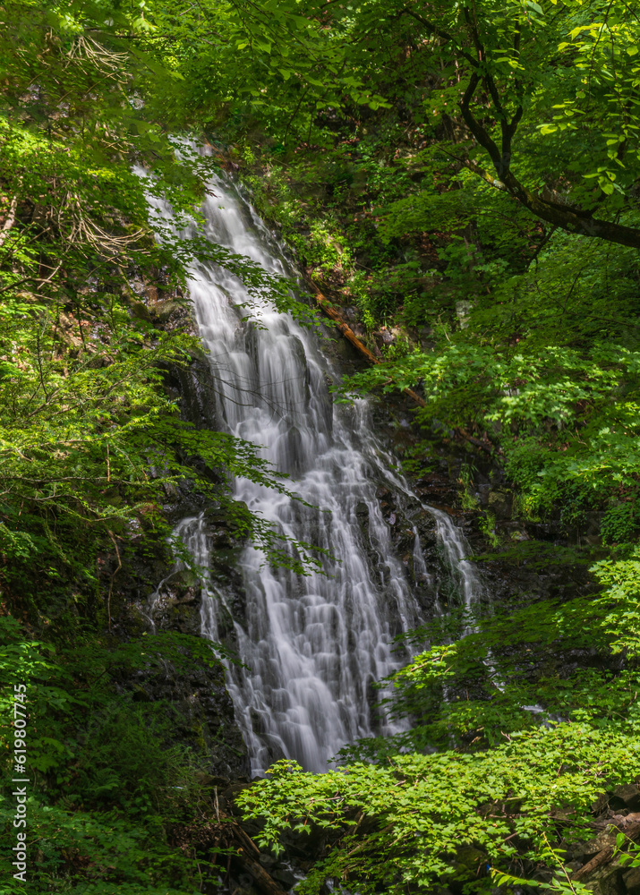 Roaring Brook Falls in the forest