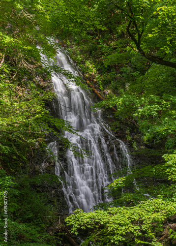 Roaring Brook Falls in the forest
