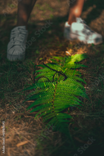 nature with sunglasses