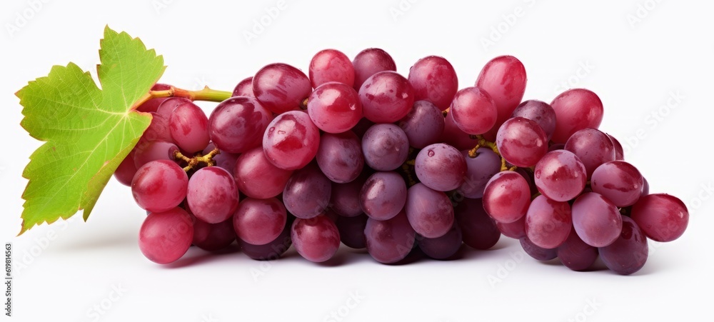 Vineyards, grape harvest food fruits background - Closeup of red wet ripe grapes bunch with water drops, isolated on white background (Generative Ai) Vineyards, grape harvest food fruits background - Closeup of red wet ripe grapes bunch with water drops, isolated on white background (Generative Ai)