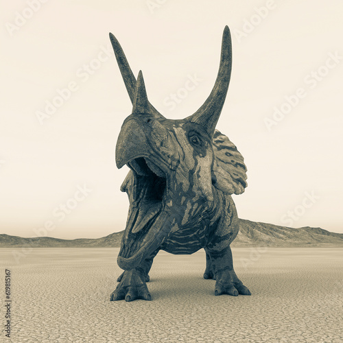 triceratops is angry in the desert on the afternoon