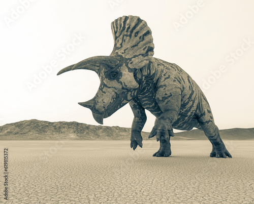 triceratops action in the desert on the afternoon