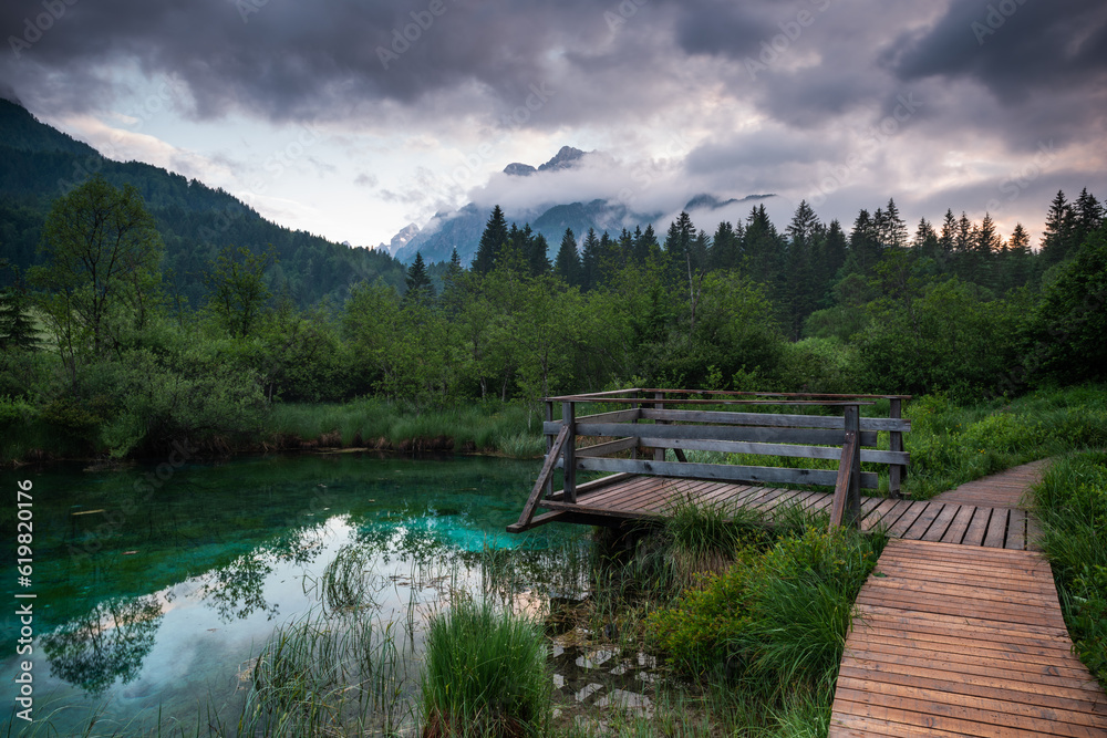 Zelenci Springs nature reserve near Kranjska Gora, Slovenia.  Sava river source