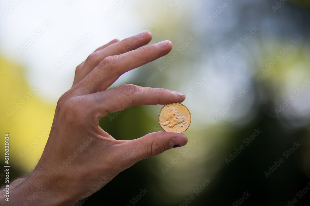 Gold coin with the image of a lion. Iron coin in the hands of a man. Collectible coin and human hand