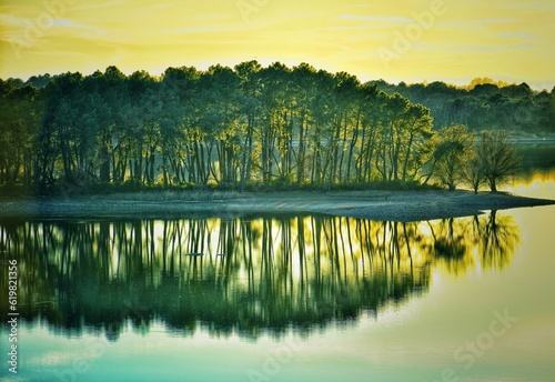 Fototapeta Naklejka Na Ścianę i Meble -  Reflection of trees in the lake at sunset. Toned. Symmetry, blur, green and yellow tones. Spain.