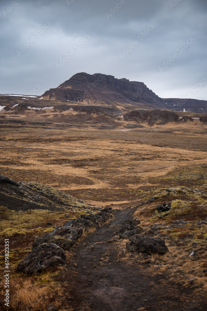 moutain path landscape in Iceland