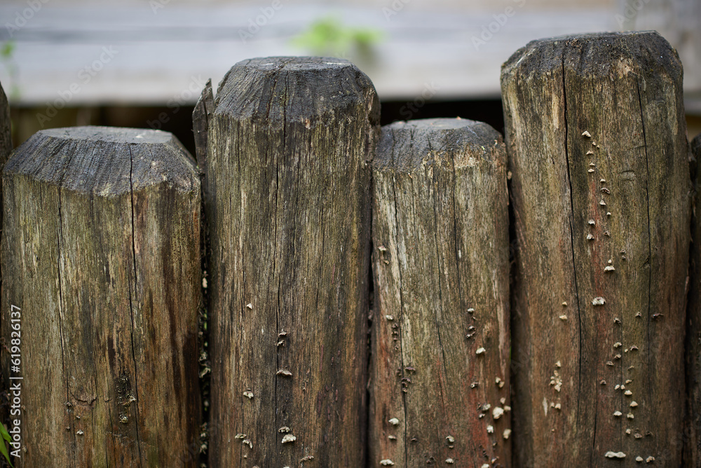 Wooden logs outdoor Wooden logs outdoor