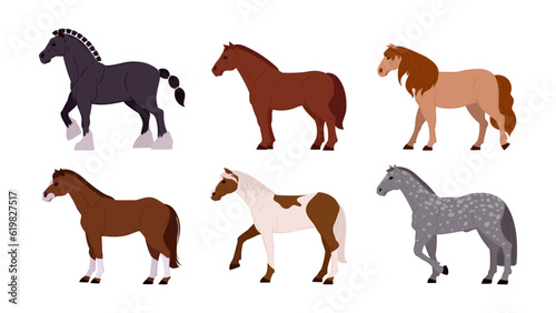 Graceful horses. Cartoon thoroughbred animals  ranch or farm horses flat vector illustration set. Horses in calm postures