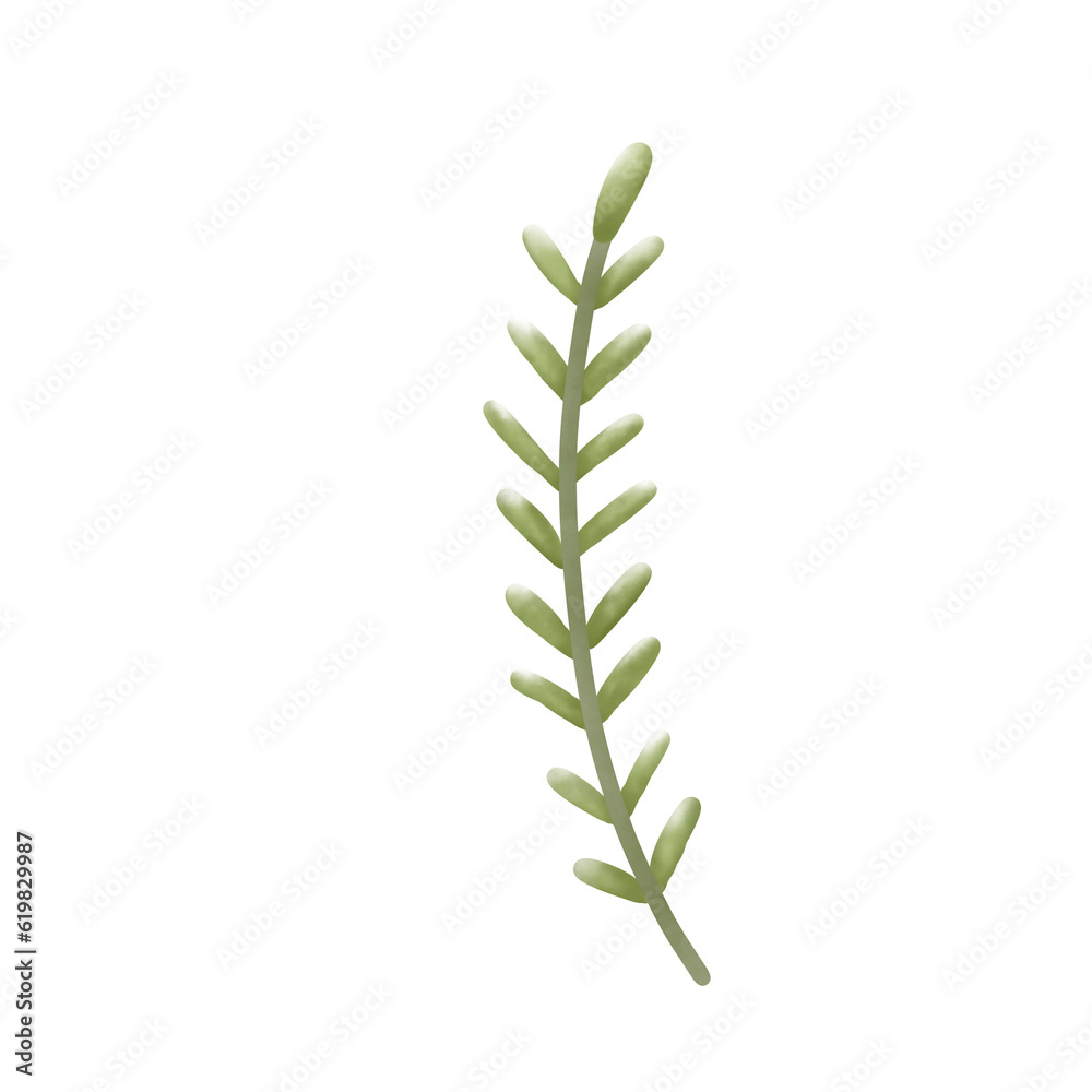 plant isolated on white plant isolated on white
