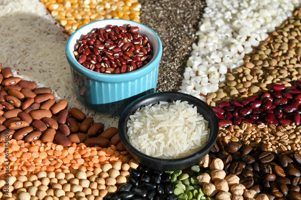 Bowl with raw white rices and beans on various seeds grain Bowl with raw white rices and beans on various seeds grain