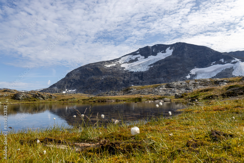 Sognefjell - Sognefjellsvegen, Norwegen 47