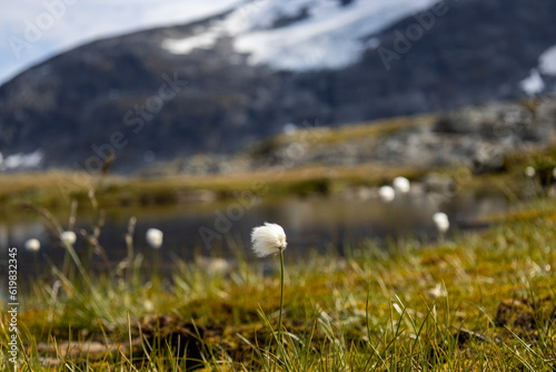 Sognefjell - Sognefjellsvegen, Norwegen 45 photo