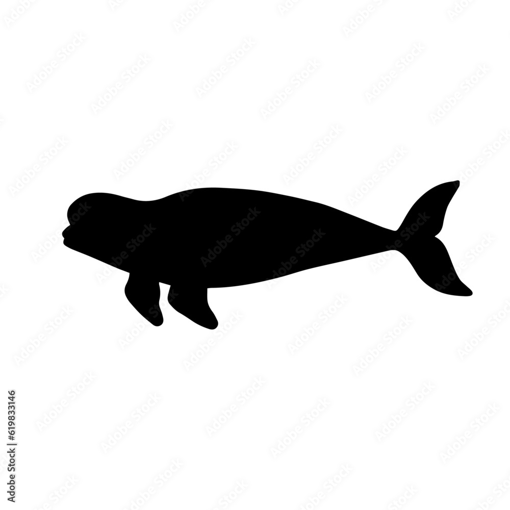 Beluga whale silhouette. Predatory marine mammal.Vector graphics. Beluga whale silhouette. Predatory marine mammal.Vector graphics.
