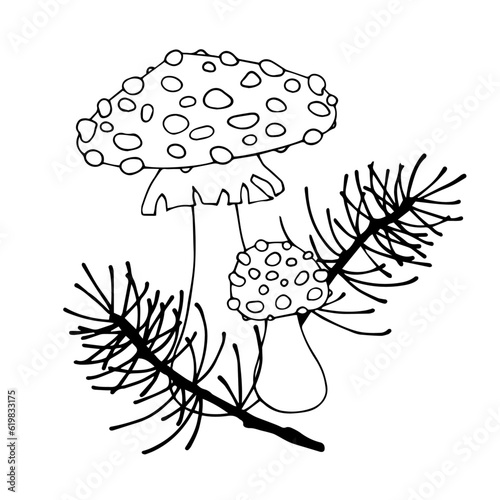 Linear sketch, coloring forest mushrooms. Vector graphics.