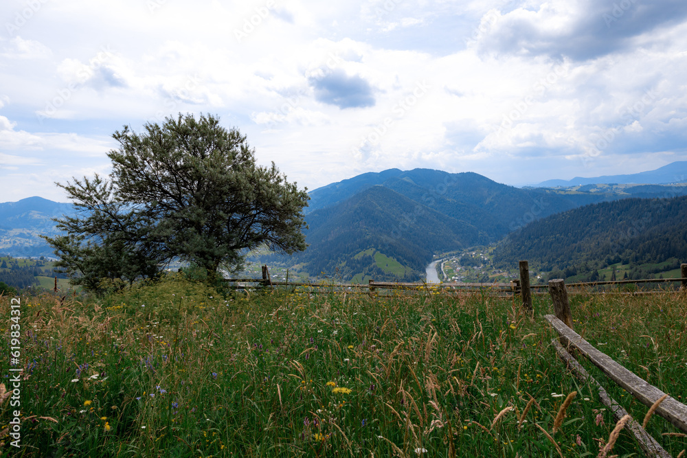Fototapeta premium Carpathian mountains in the summer
