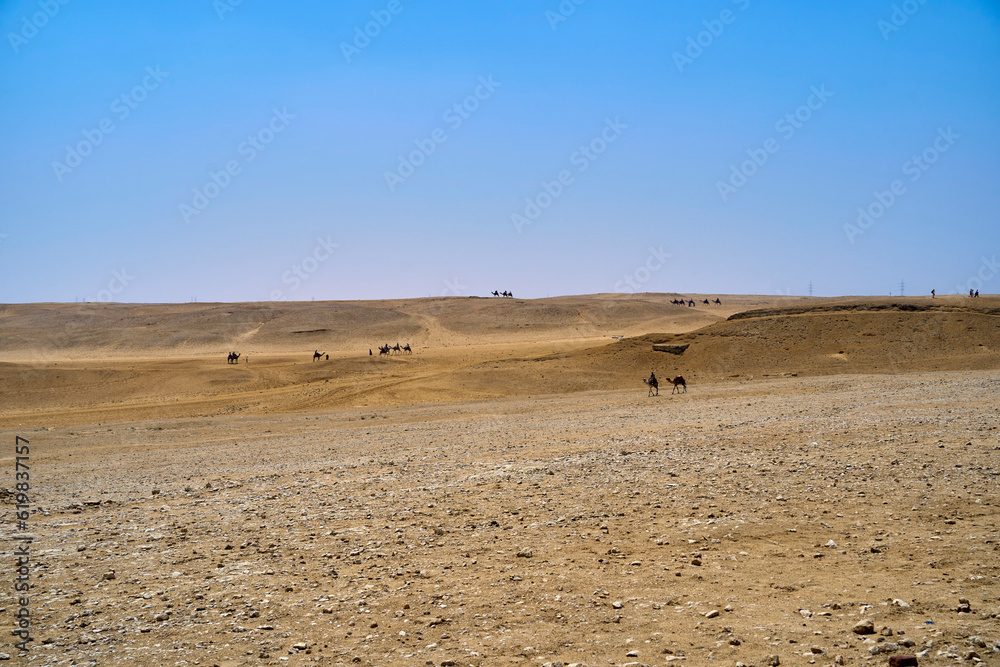 Sand dunes in Egypt with dromedaries in the distance. The Great Pyramids of Giza, Giza Plateau, Cairo, Egypt