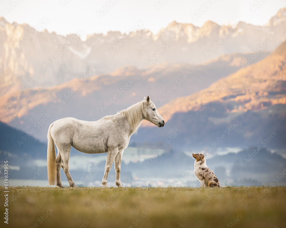 Hund und Pferd vor Bergpanorama