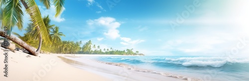 beach with palm trees banner background