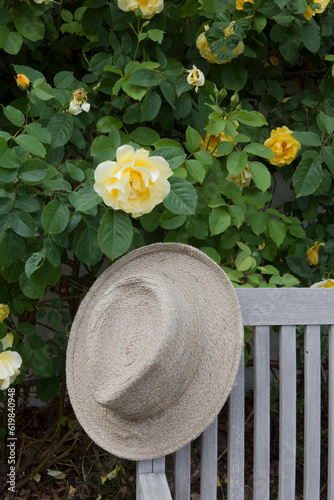 resting on a bench 