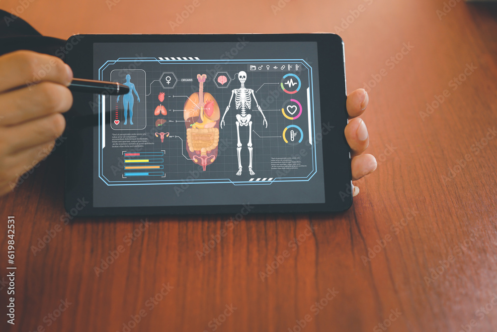 analysis, anatomical, biology, body, body parts, bowel, brain, cardiac