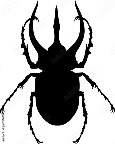 Beetle silhouette vector icon illustration