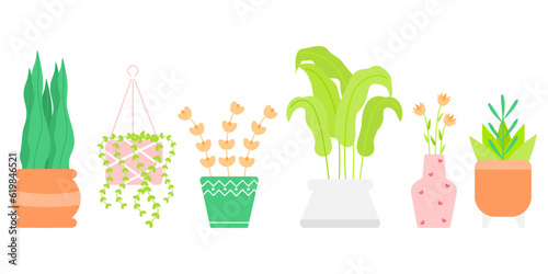 Set vector cute houseplants illustration. Plants in pots, minimalist style
