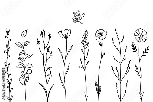 Sketch black flowers and herb with dragonfly, doodle style