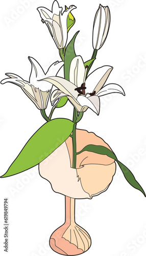 White lilies
