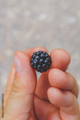 mano de una mujer sujetando una mora negra