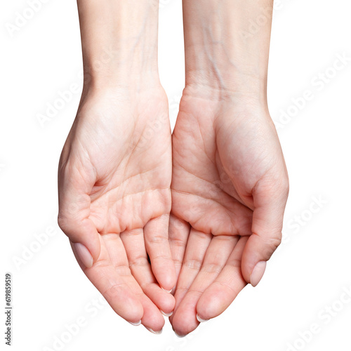Open female hands cut out
